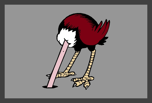 OSTRICH_.jpg (65208 Byte)